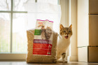 Cat Accessories Pine Litter (Pinienstreu) 4 kg 1 Piece -3- Anifit